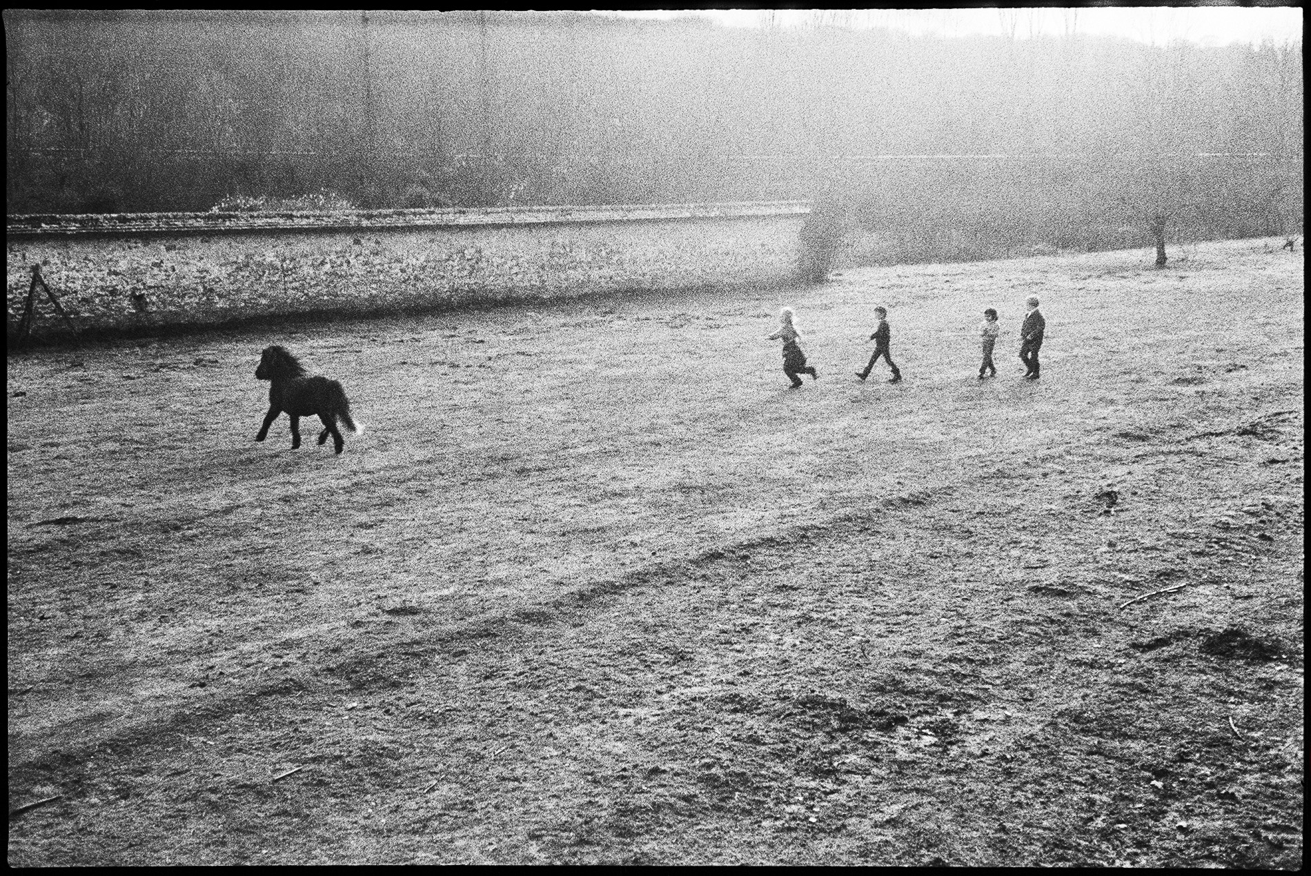 Kids and pony. Fontainbleau, France, 1985