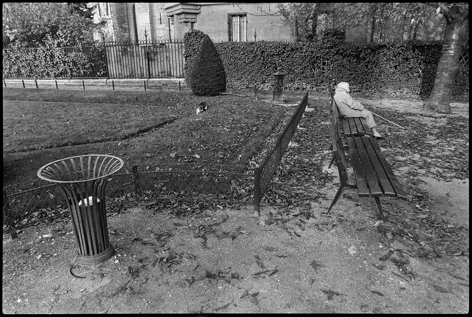 Jardin du Luxembourg, Paris 1984