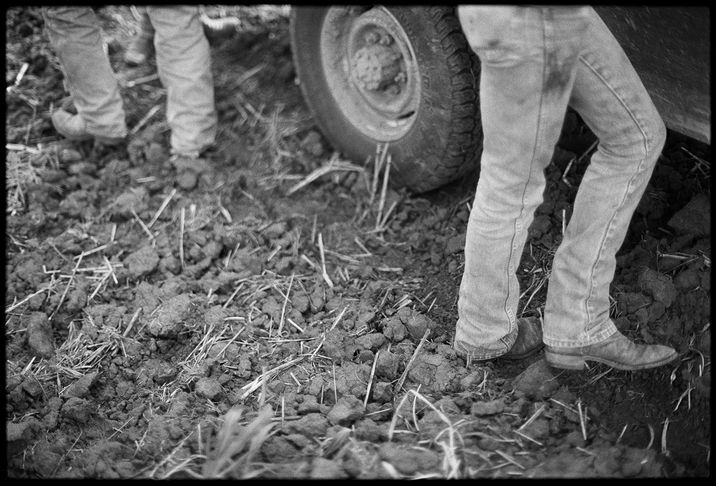 Bartlet-2021-09-15-BW-078a